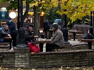 IMG 1793