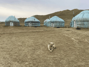 Karakalpakstan Study